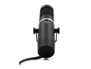 AEA KU5A Supercardioid Ribbon Microphone
