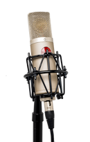 Mojave MA-200 Large Diaphragm Tube Condenser Microphone